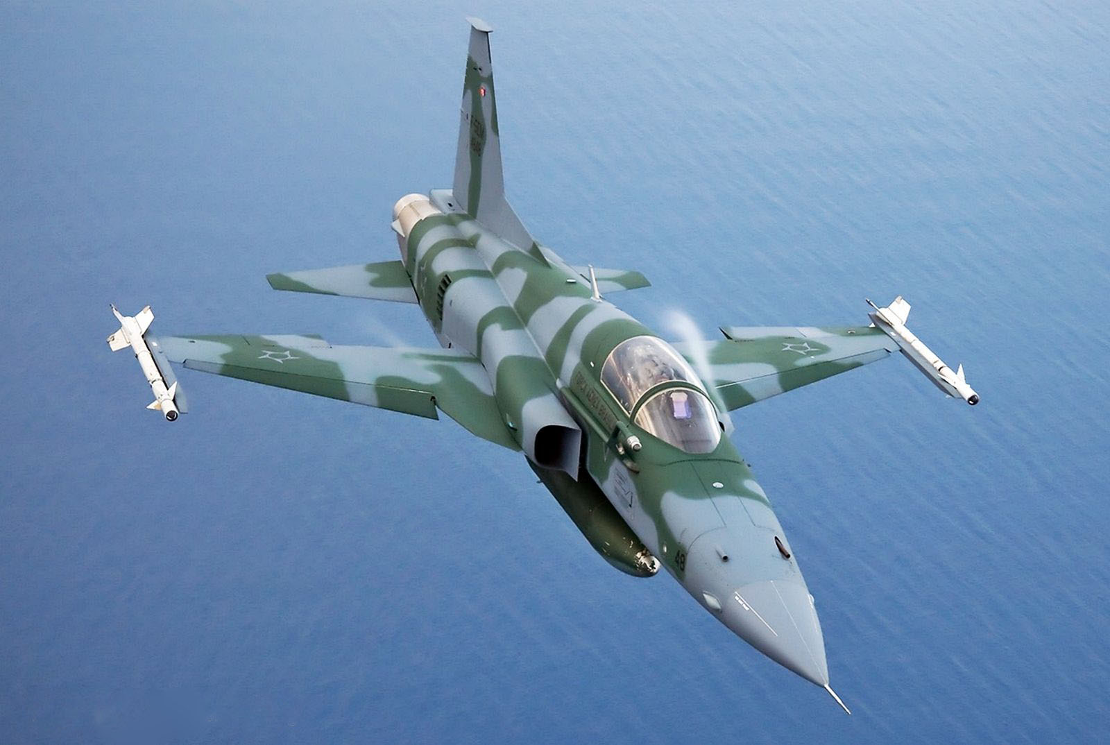 F-5EM-fab.jpg