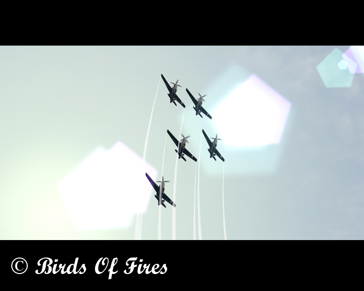 birdsoffires0051.jpg
