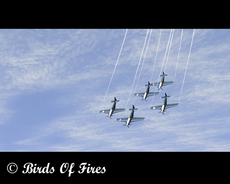 birdsoffires0062.jpg