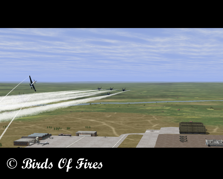 birdsoffires0088.jpg