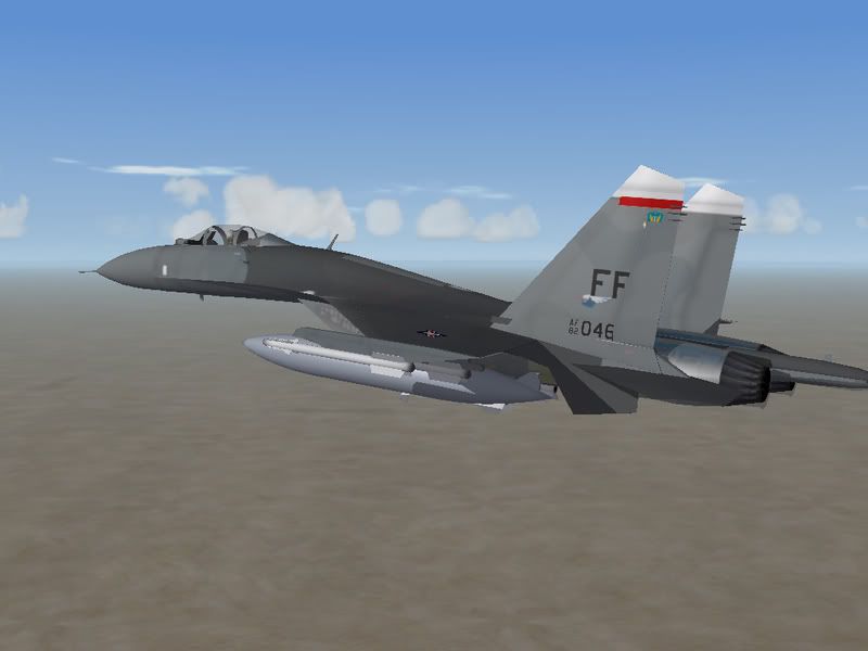 UsaFlanker1.jpg