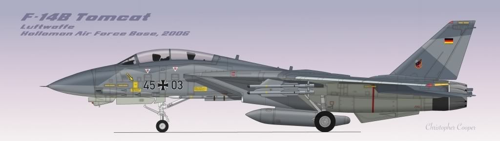 F-14Bluft.jpg