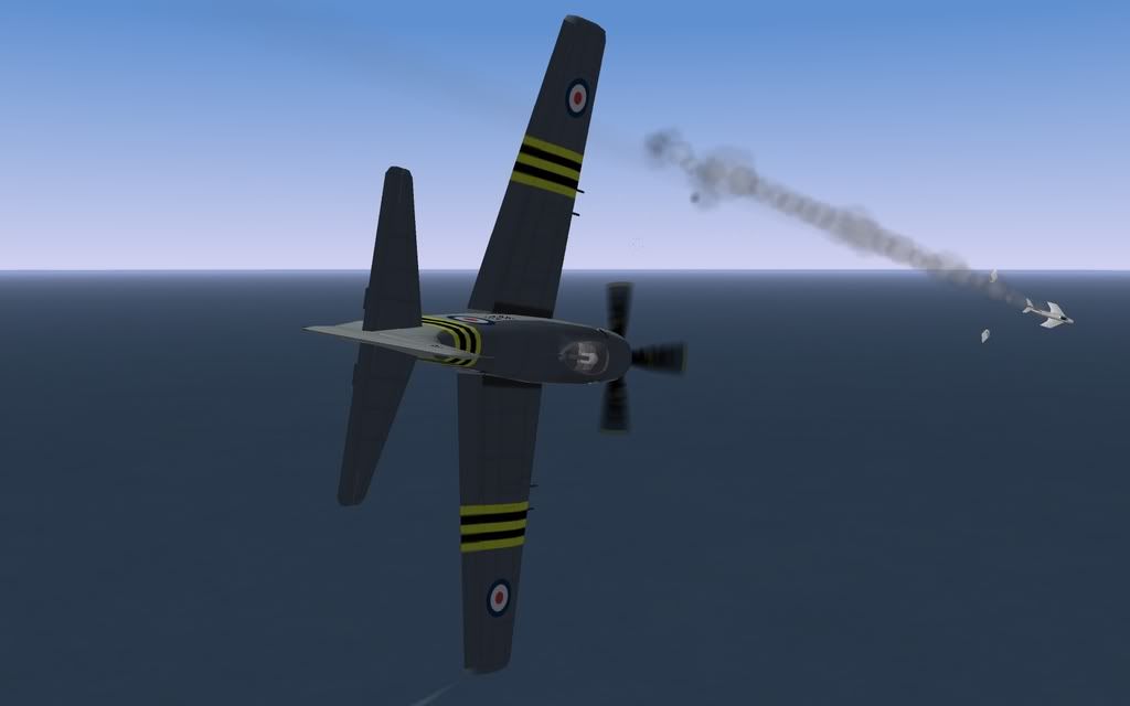 RNSkyraider04.jpg