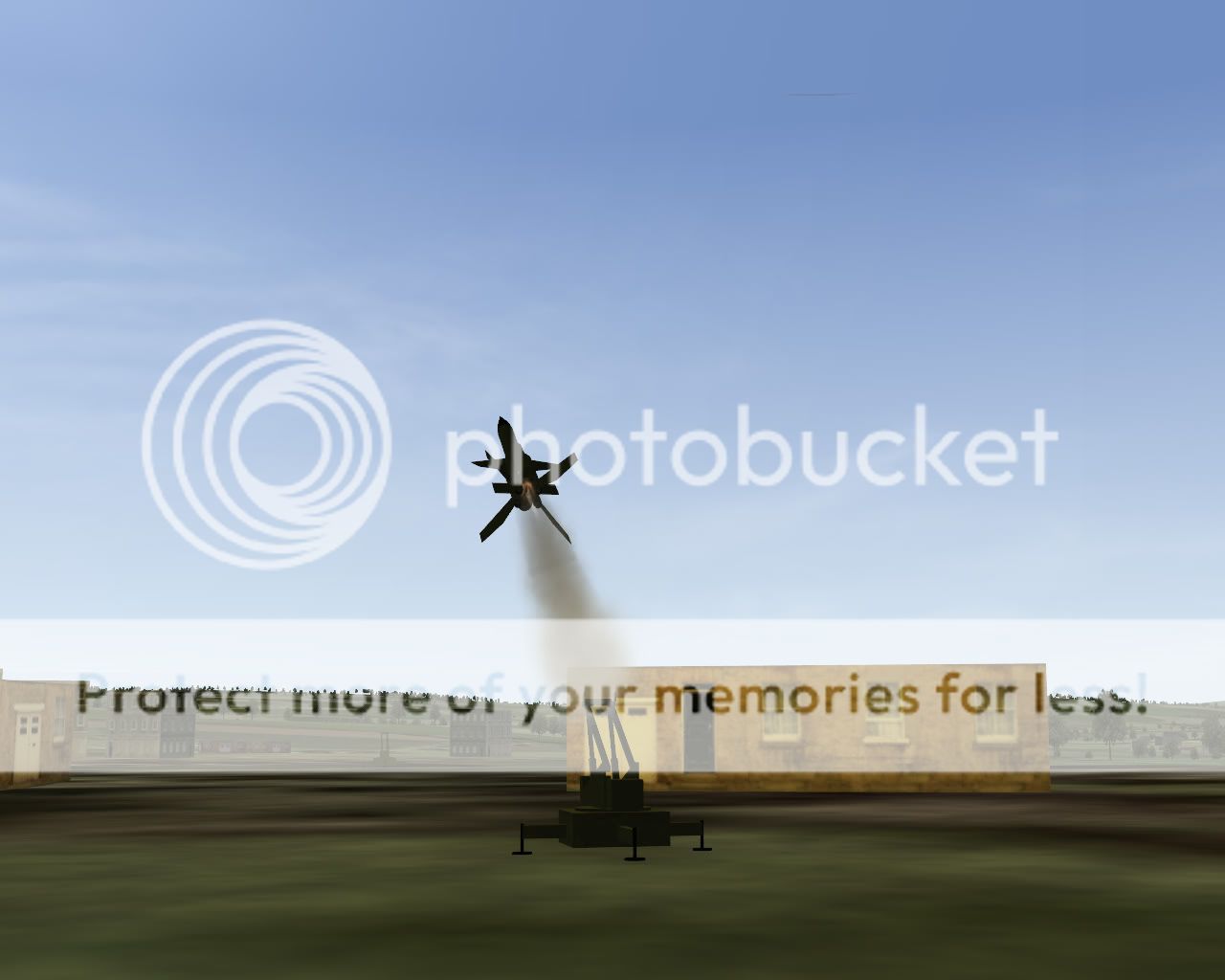 bloodhound2.jpg