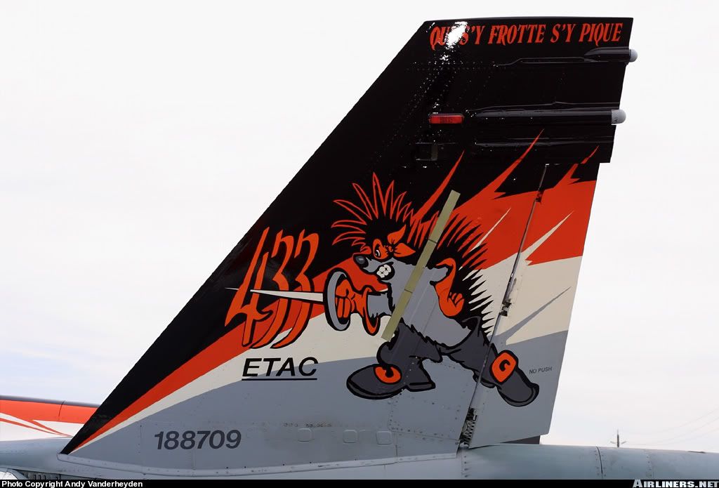 specialquebecairshowtaildetail.jpg