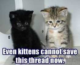 KittensSaveThread.jpg