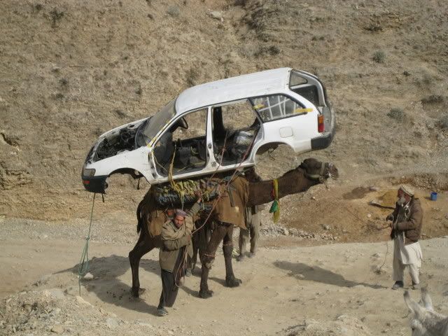 CamelWithCar1.jpg