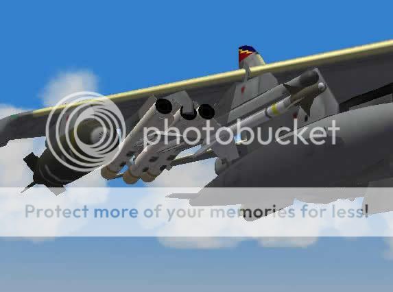 harrierbrimstone3.jpg
