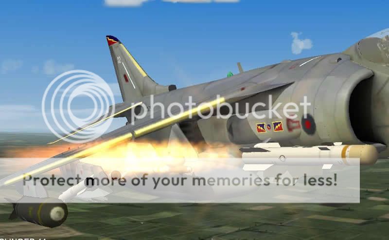 harrierbrimstone4.jpg