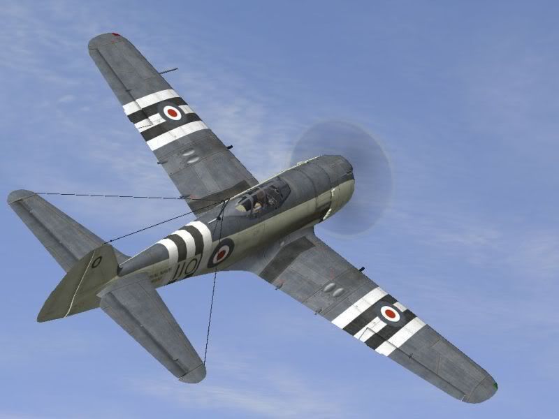 VR9301.jpg