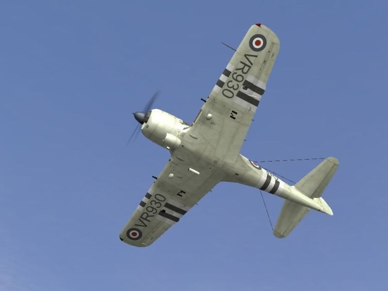 VR9303.jpg