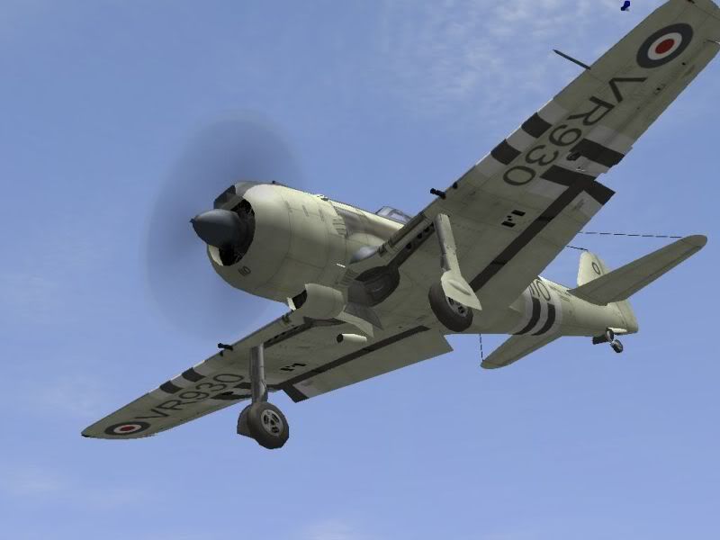 VR9305.jpg