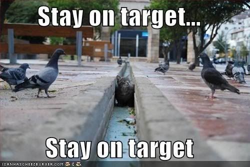 cat-pidgeons-star-wars.jpg