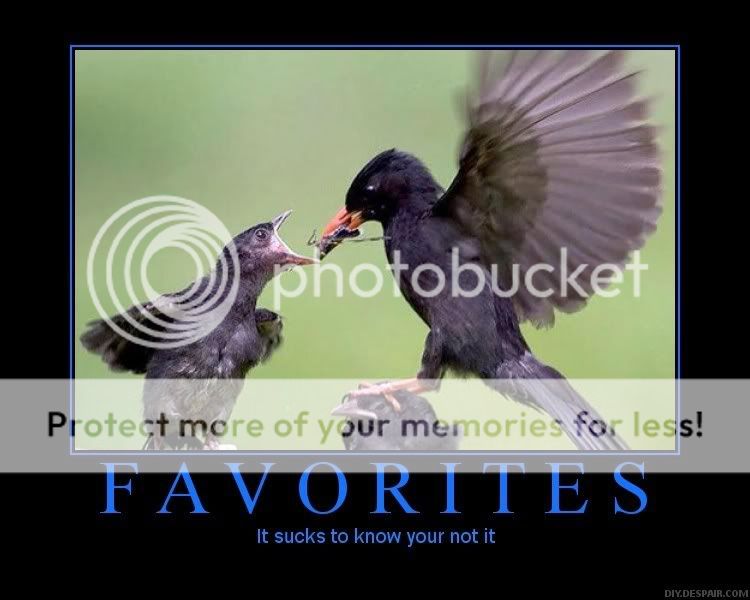 favorite.jpg