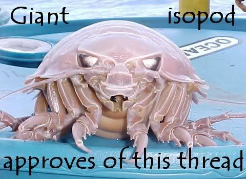 giant_isopod_approves.jpg