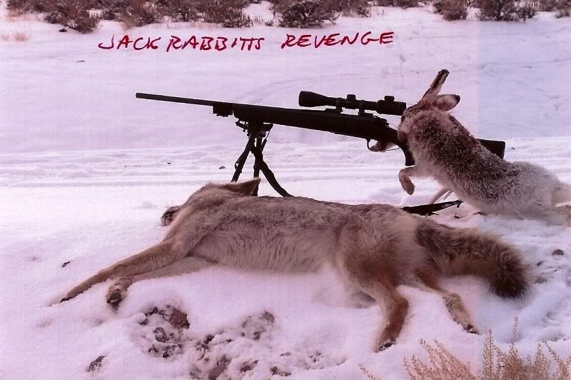 rabbitsrevenge.jpg