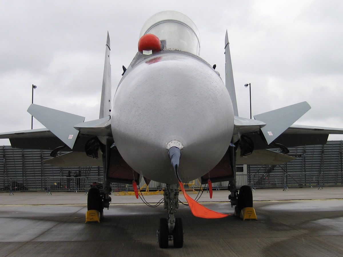 Flanker-headon.jpg