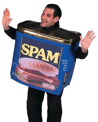 spamboy.jpg