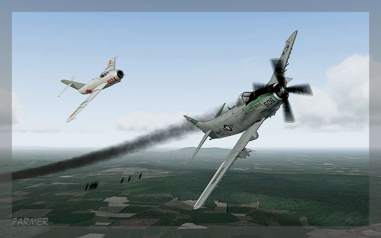 dogfight01a.jpg