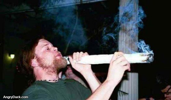 mega-porro.jpg