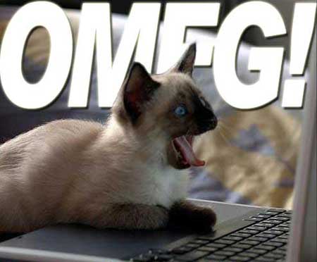 omfg-cat_laptop1.jpg