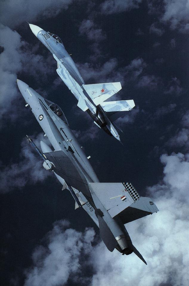 mix_f18_su27-2.jpg