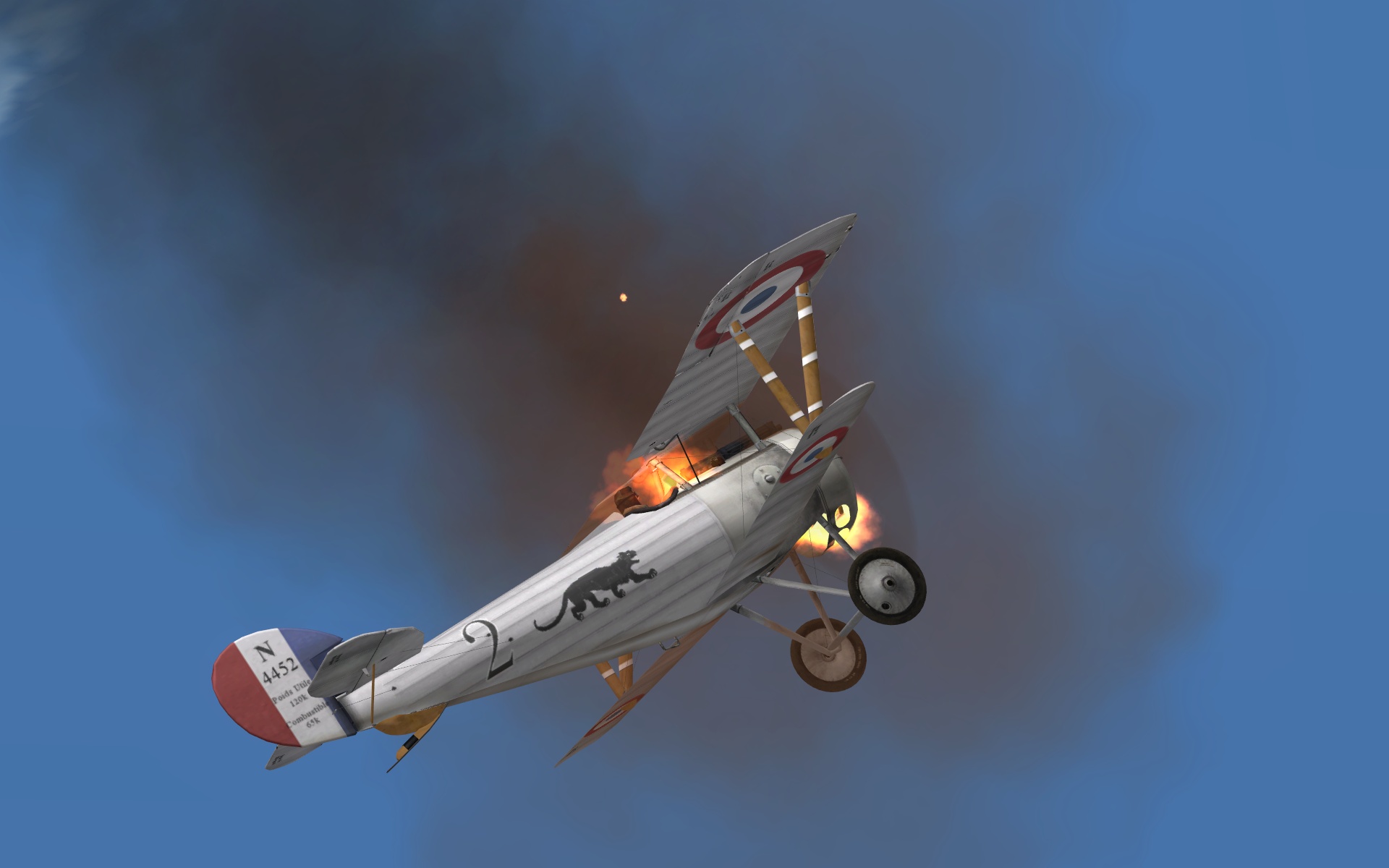 1917-06-17%20Jasta%209%20Nieuport%2024%20on%20fire-1.jpg