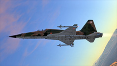 F-5E-02.jpg