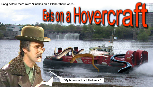 Eels%20on%20a%20Hovercraft.jpg