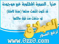 87154911.jpg