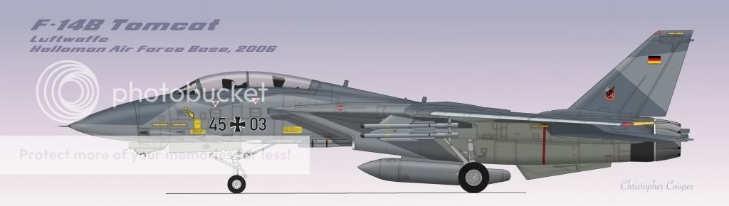 F-14Bluft.jpg