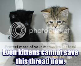KittensSaveThread.jpg