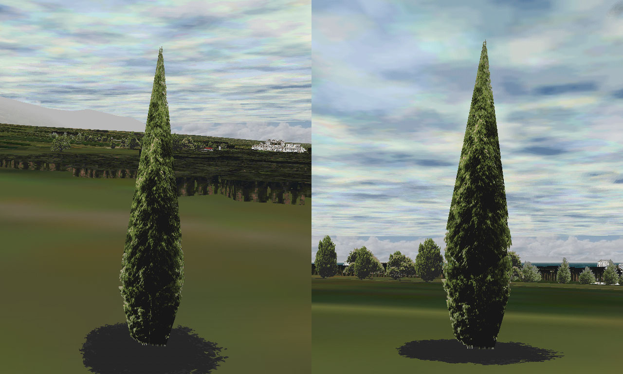 Cypress.jpg