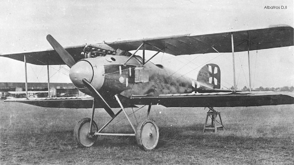 Albatros-D.II.jpg