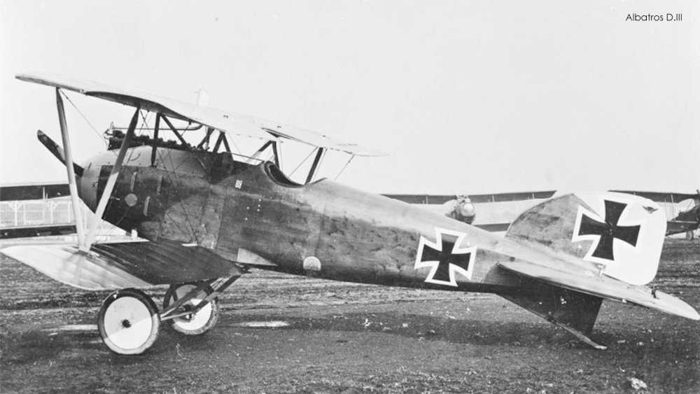 Albatros-D.III.jpg