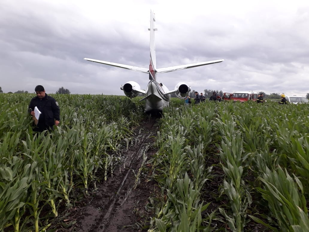 Самолет упал в кукурузное. A320 кукурузное поле. Аэробус 321 кукурузное поле. Самолёт приземлился в кукурузном поле 2019. Юсупов самолет кукурузное поле.