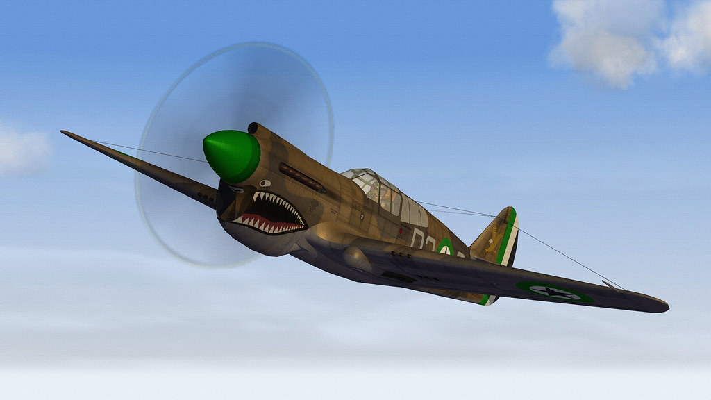 DHIMAR P-40E WARHAWK.03