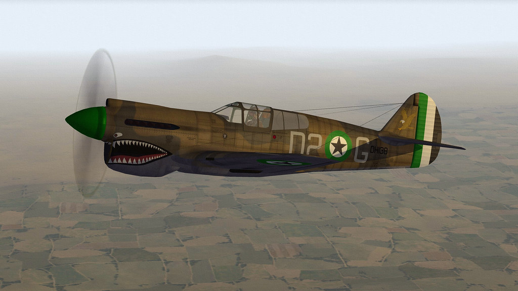 DHIMAR P-40E WARHAWK.05