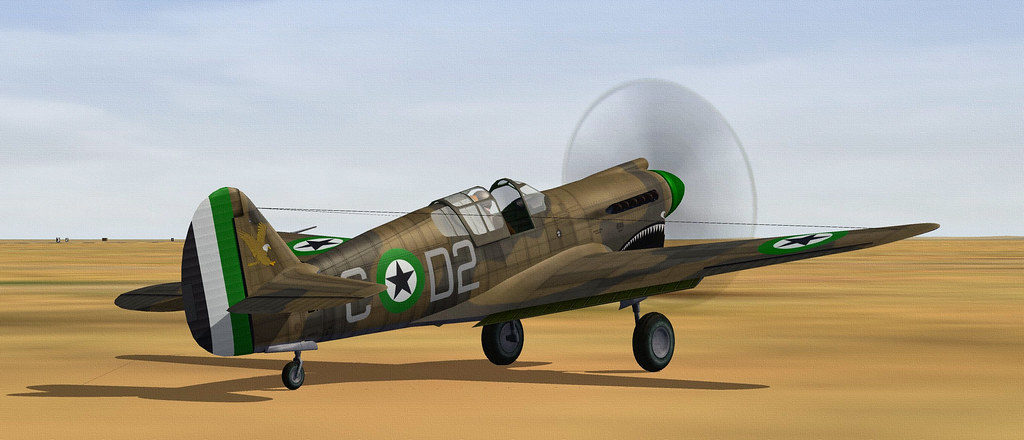 DHIMAR P-40E WARHAWK.01