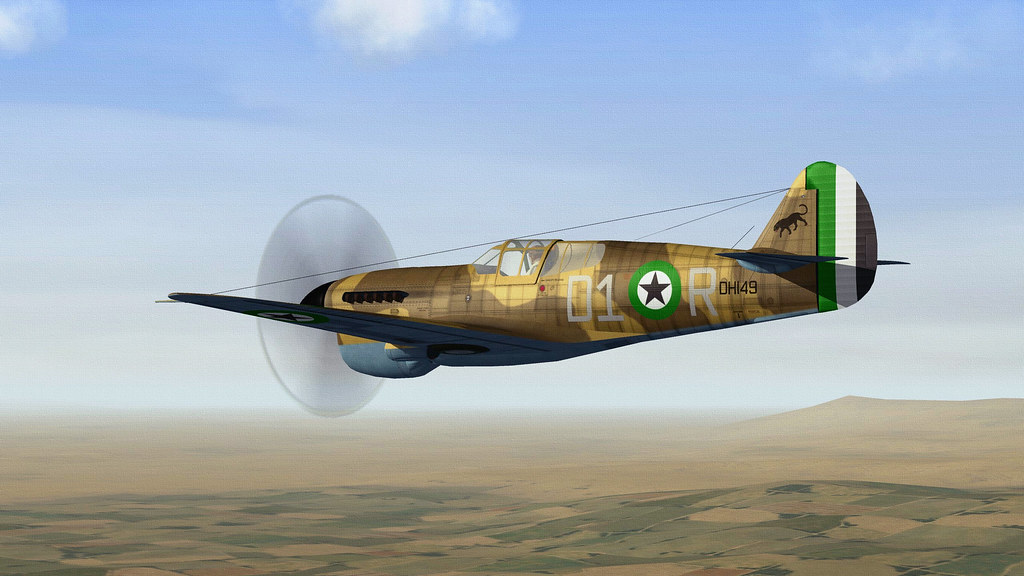 DHIMAR P-40F WARHAWK.01