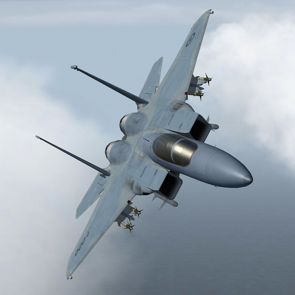 FAA F-15A EAGLE.07