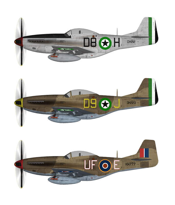 DHIMAR P-51D MUSTANG.03