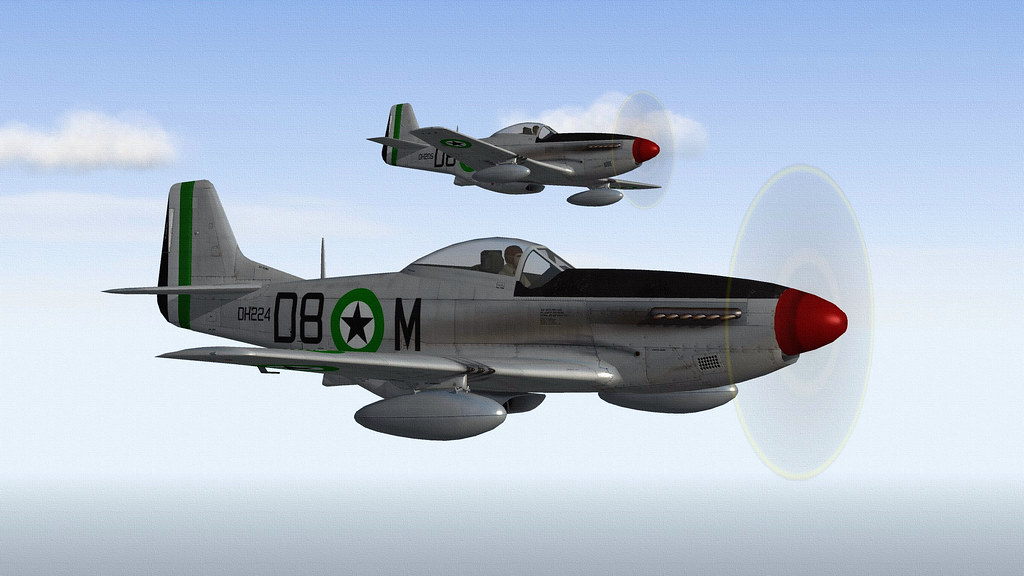 DHIMAR P-51D MUSTANG.04