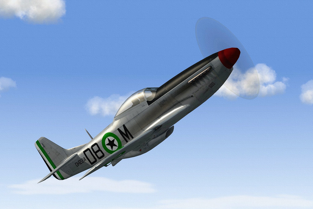 DHIMAR P-51D MUSTANG.07