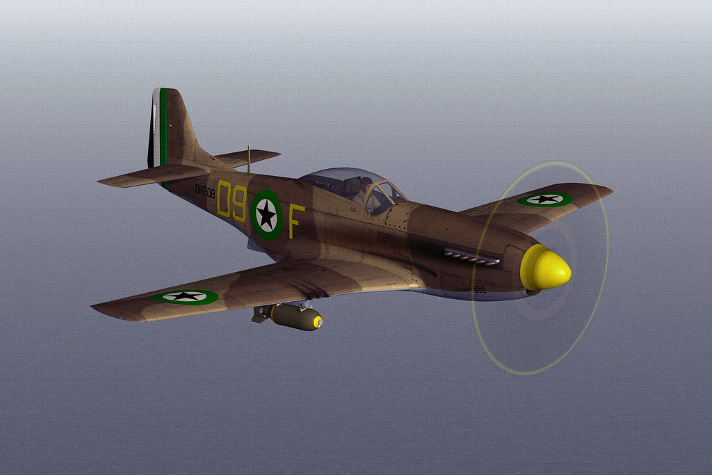 DHIMAR P-51D MUSTANG.06