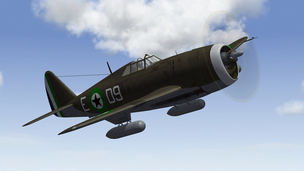 DHIMARI P-47D-21 THUNDERBOLT.05