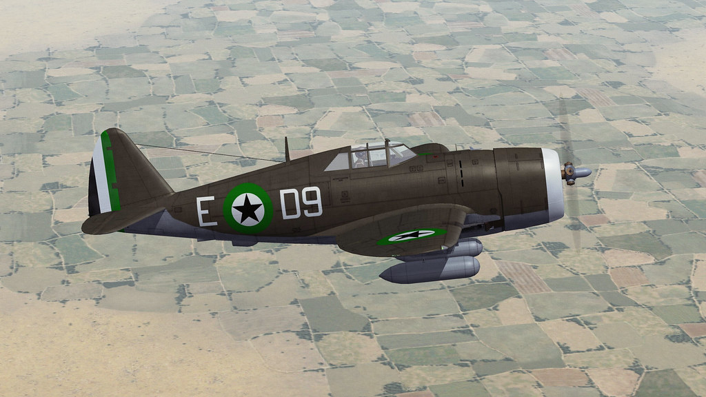 DHIMARI P-47D-21 THUNDERBOLT.06