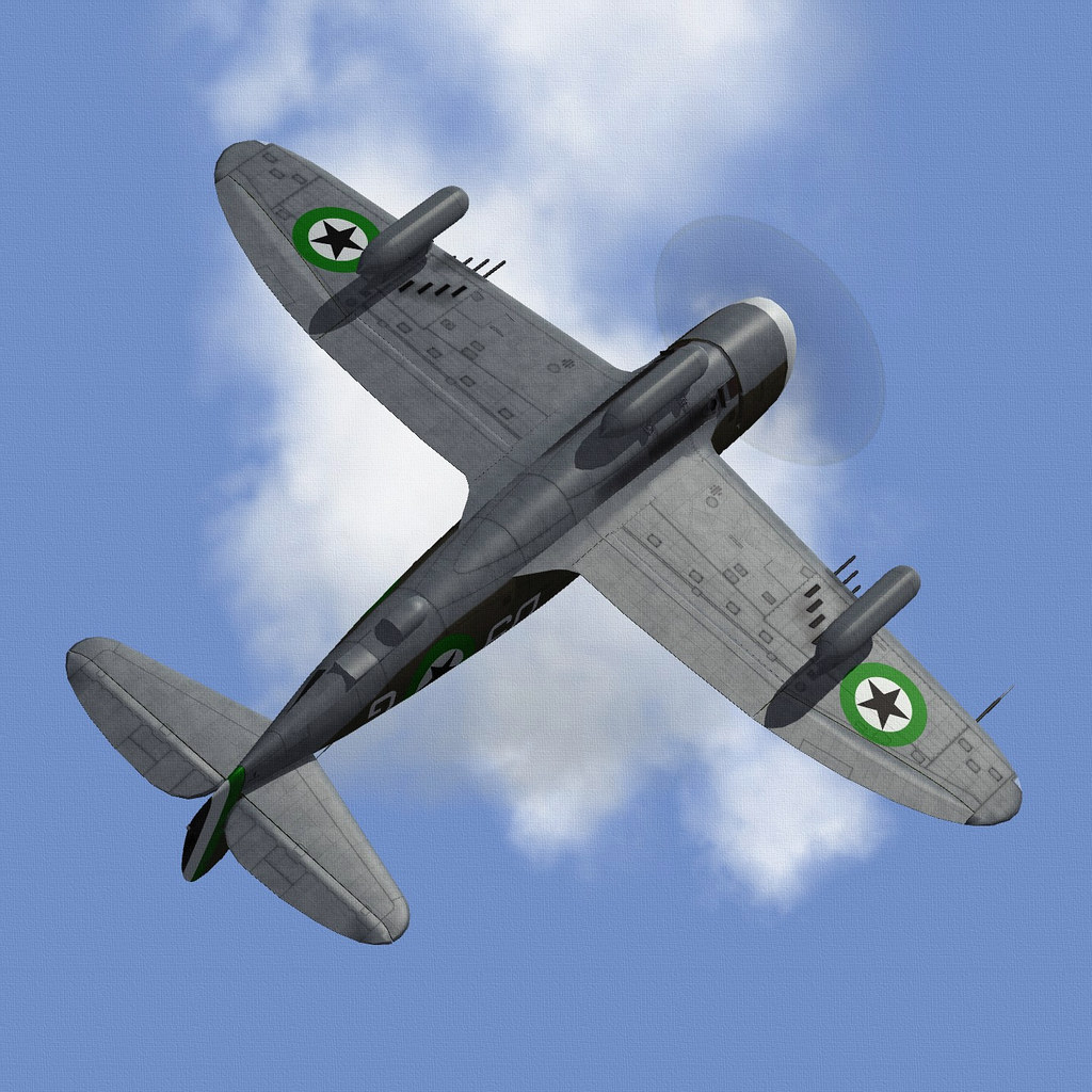 DHIMARI P-47D-21 THUNDERBOLT.04