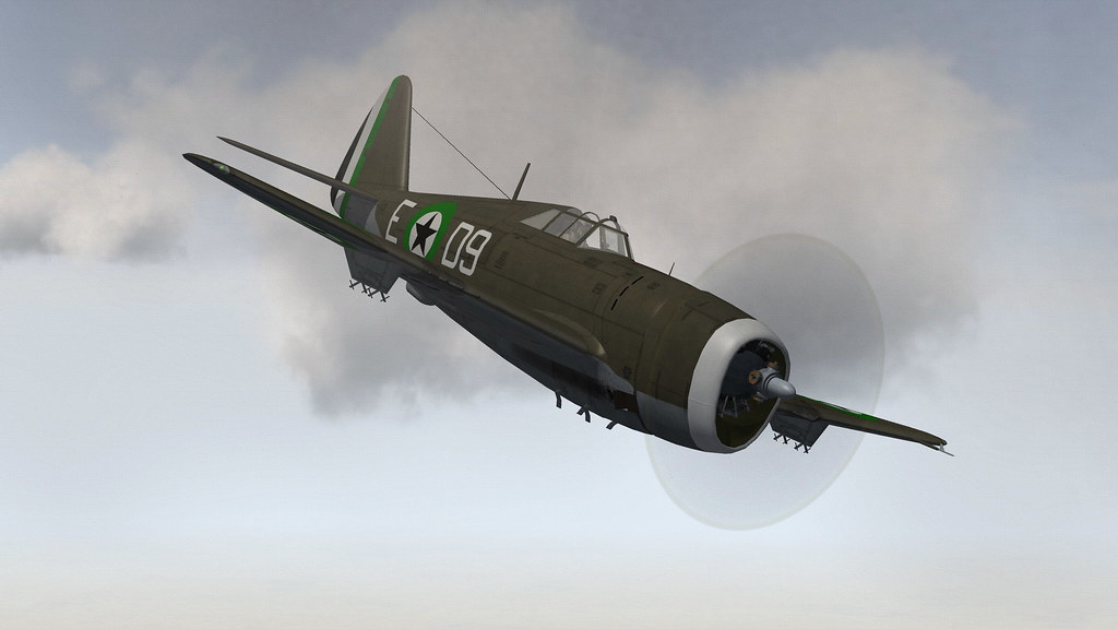 DHIMARI P-47D-21 THUNDERBOLT.07