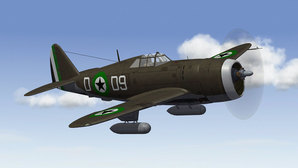 DHIMARI P-47D-21 THUNDERBOLT.03